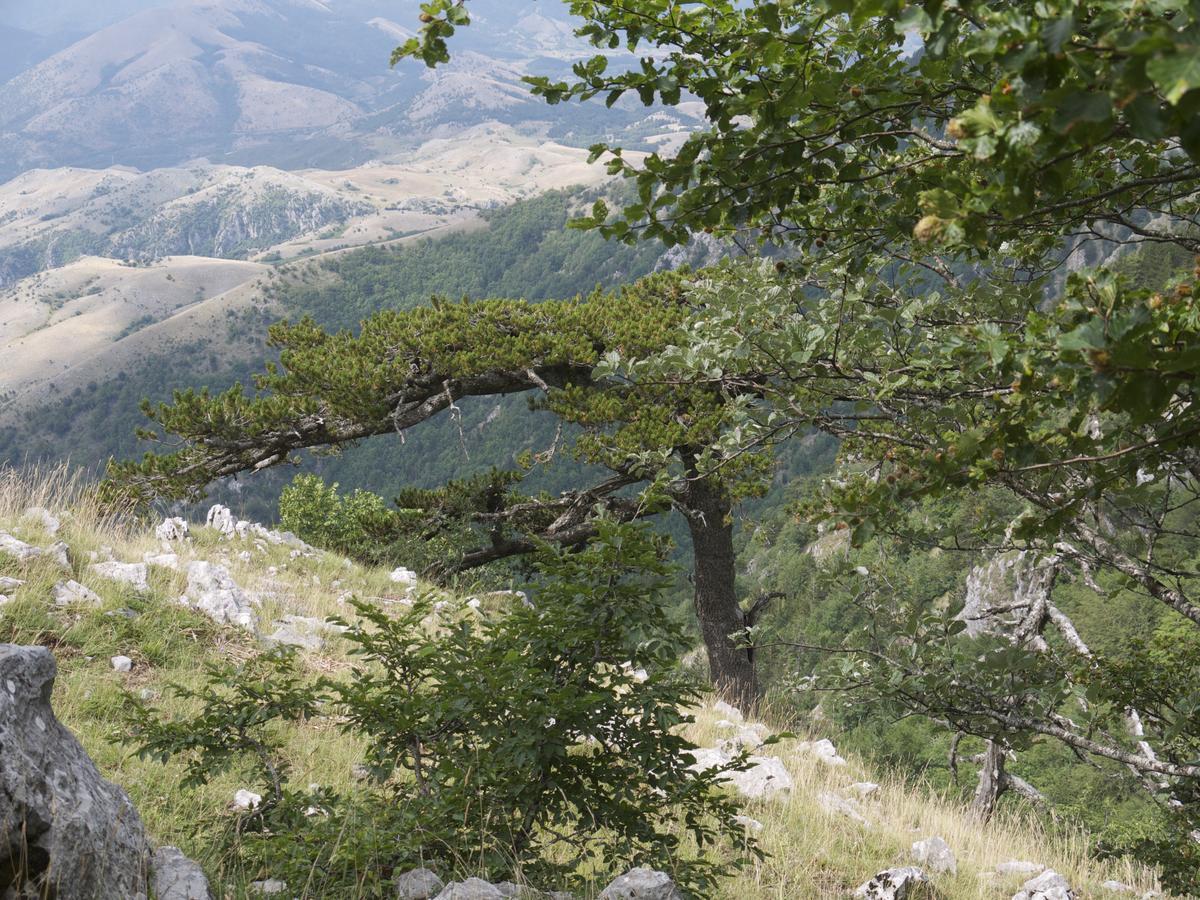 B&B Lo Straniero Rivello Kültér fotó